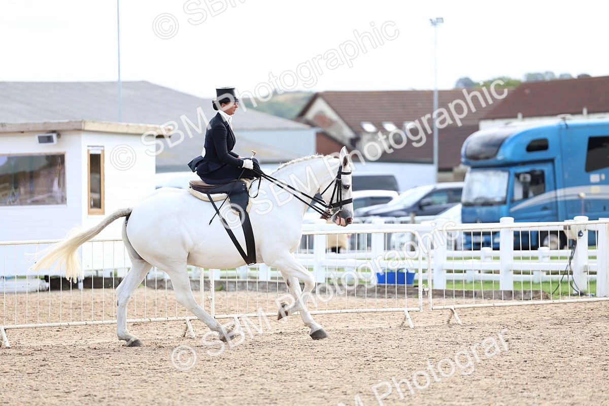 SBM_03240 - Class 22 - SSA Equitation (any age)