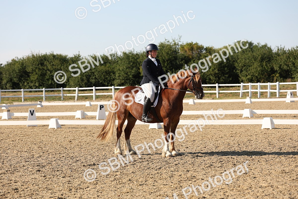 SBM_007066