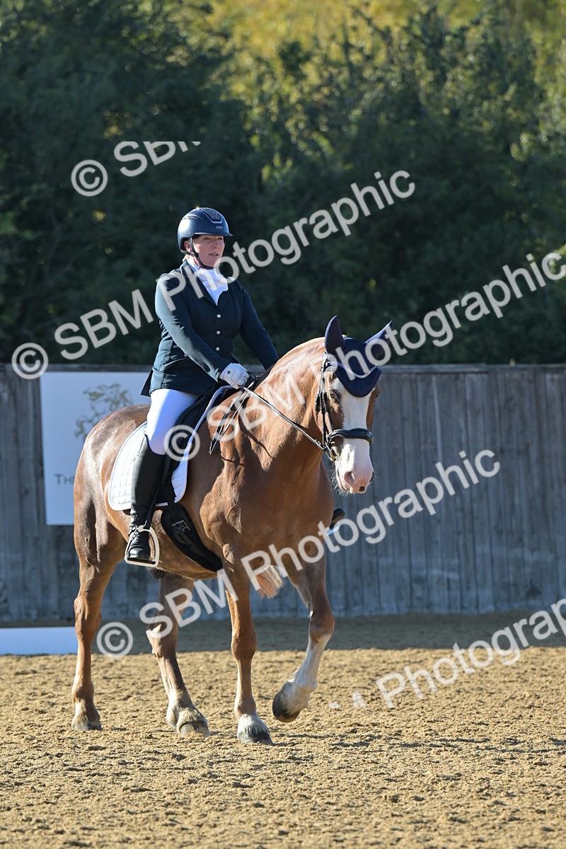 SBM_13003 - D3 - Small Tour Championship Intro 3