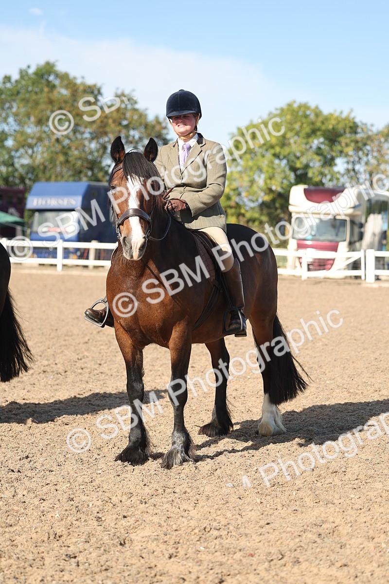SBM_12381 - Class 304 - Ridden part Bred Horse Pony