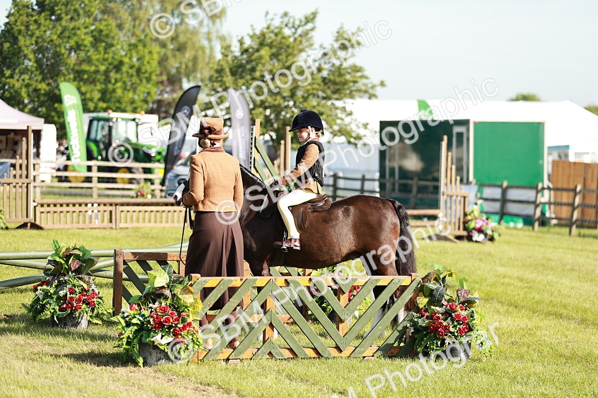SBM_11285 - Class 106-107 - BSPS LIHS Working Sports Pony