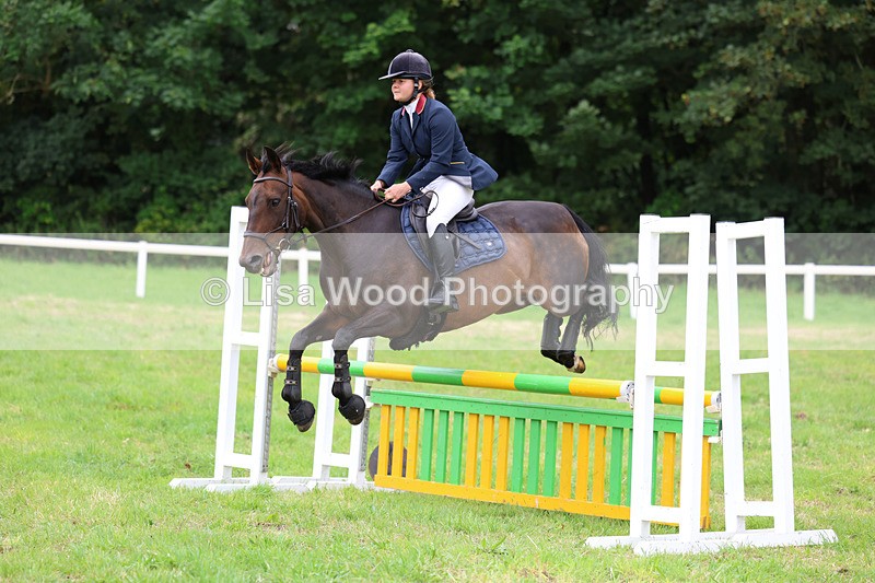 3E7A7176 - Class 5: Senior British Novice/90cm open