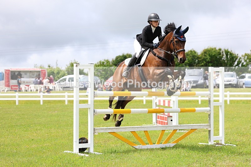 3E7A7101 - Class 12: Senior Foxhunter/1.20 open