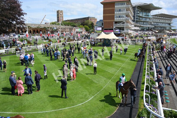 yr11062021r3-3 - Race 3 2.55pm SKF Rous Selling Stakes