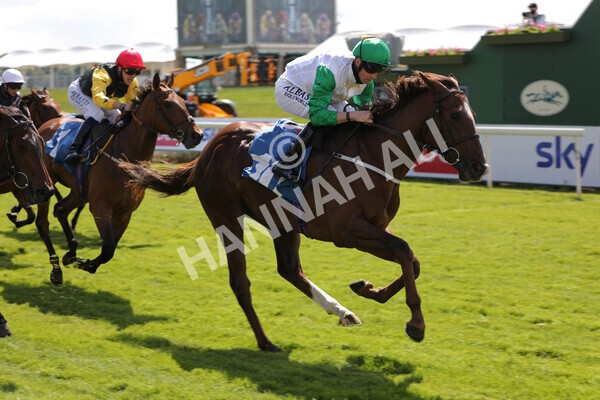 yr11062021r3-29 - Race 3 2.55pm SKF Rous Selling Stakes