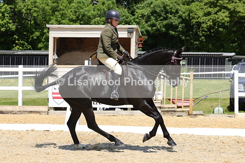 1X9A1860 - Class 12: Ridden Riding Horse/Hack