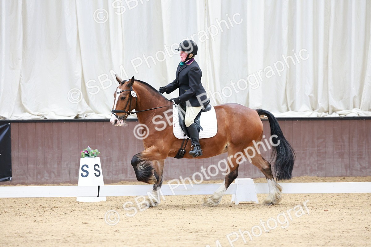 SBM_008102 - Class 6b - Novice 6 - 9.28-10.41