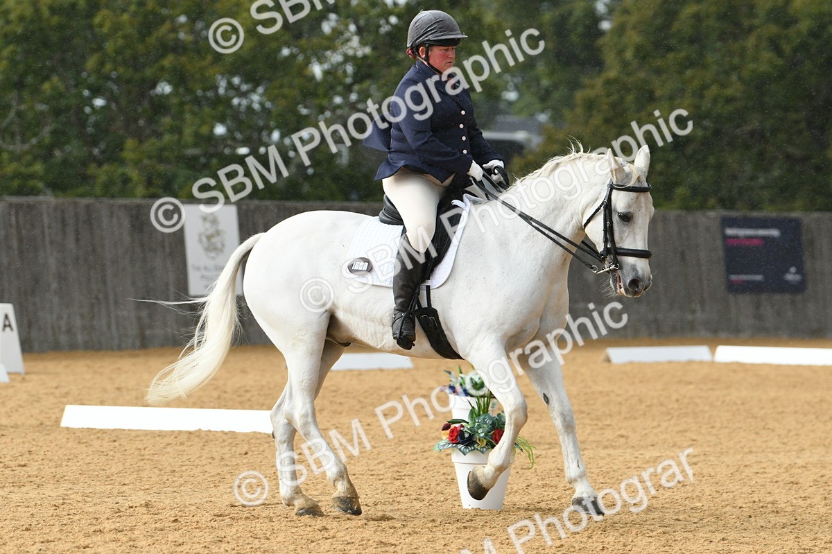 SBM_11131 - D28 Elementary Taster Elementary 42