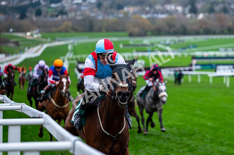 161125-Race 6-Saint Clovis-2023 - Race 6