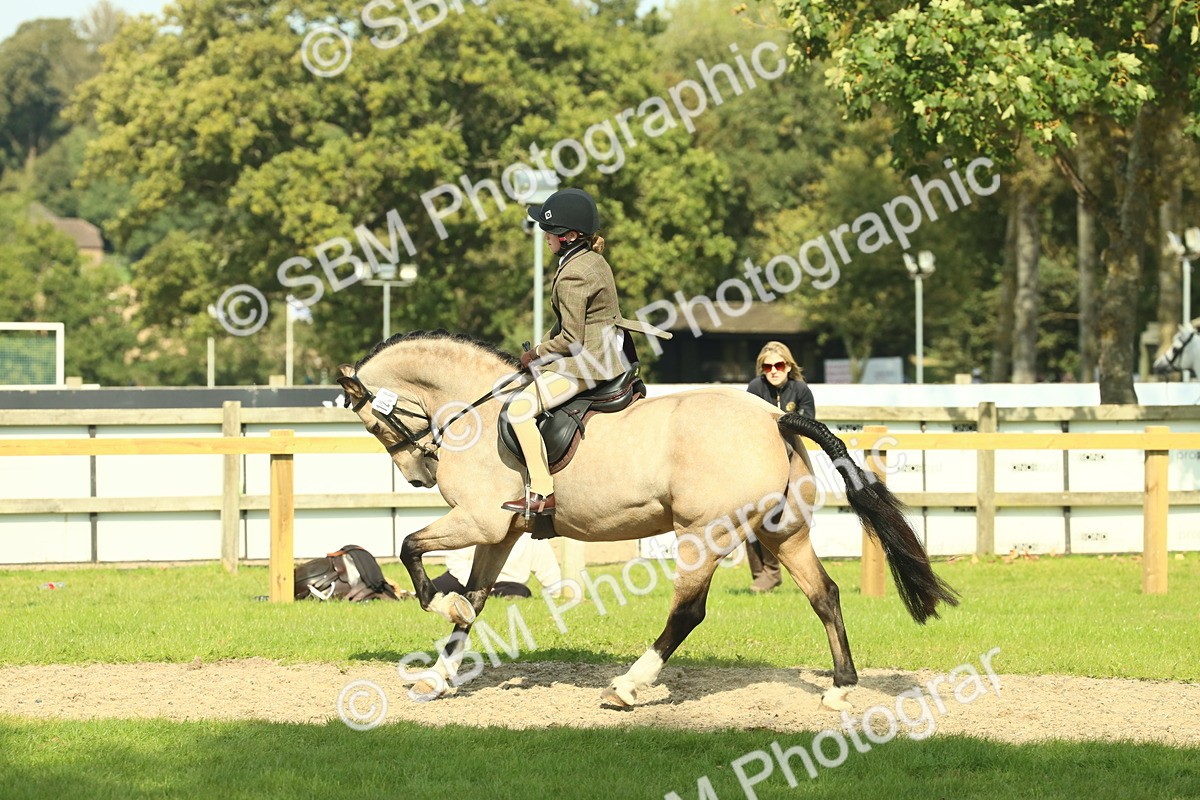 SBM_67625 - S56 - Coloured Pony Ridden