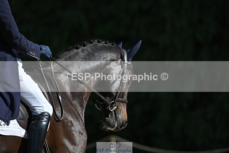 230526-165315-07427 - 258-DHI_KING_NELSON-Barnie_Brotherton-WEDTrotUp+DR