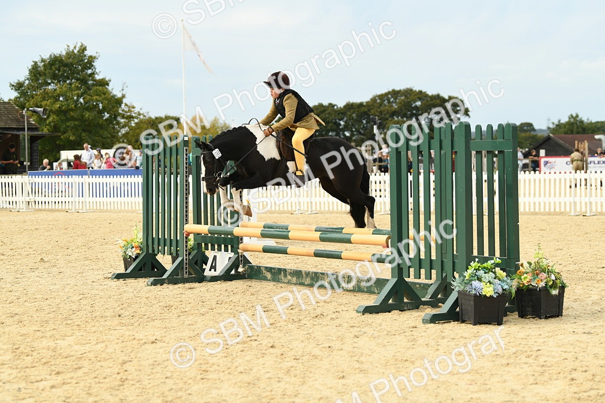 SBM_71126 - J15 - Junior Pony 70cm Championship