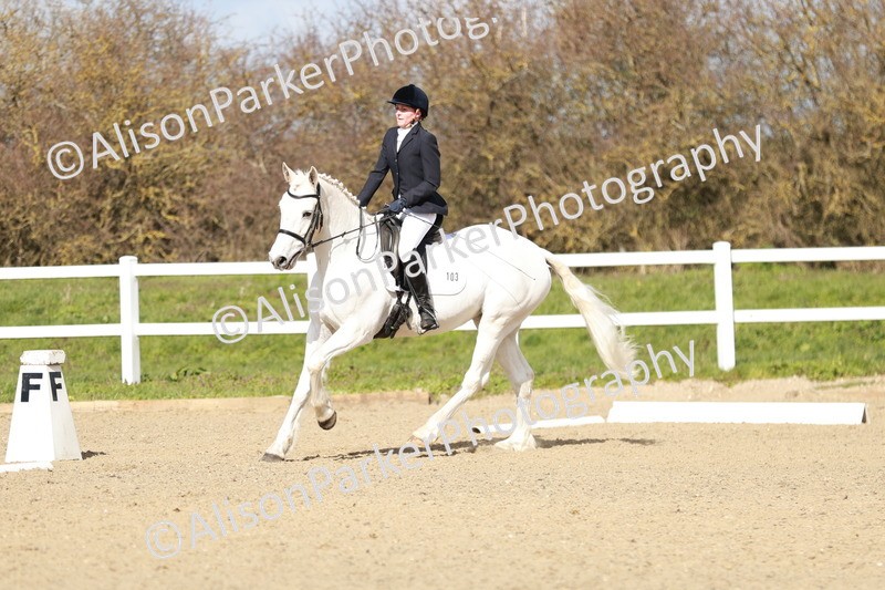 20260314-2971 - DR3 - Prelim 1