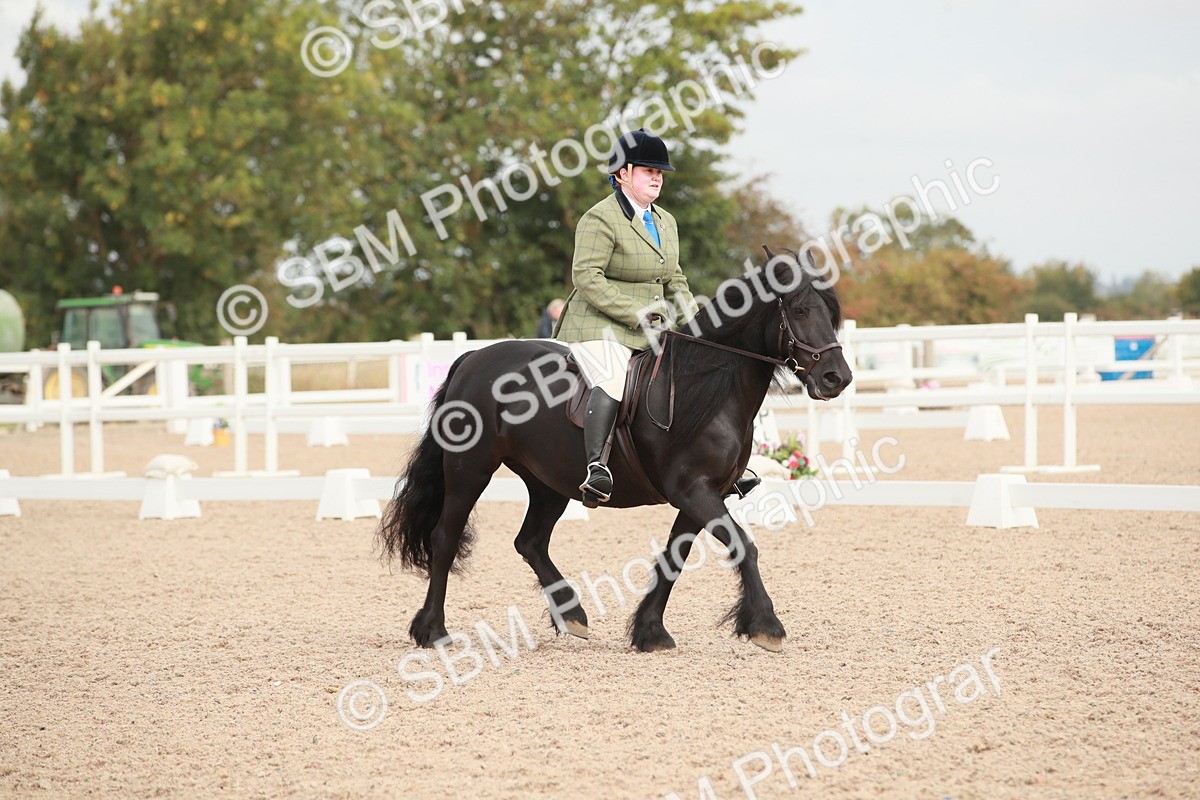 SBM_02538 - Class 30 - Intro 1