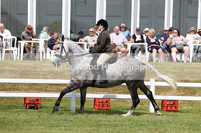 3E7A0582 - Rising Star Ridden Championship