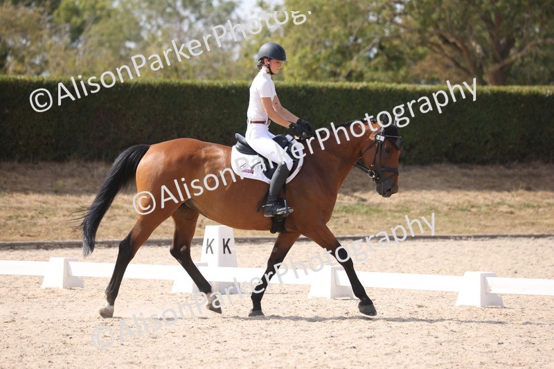20260815-1080 - Class 6 - Novice 2