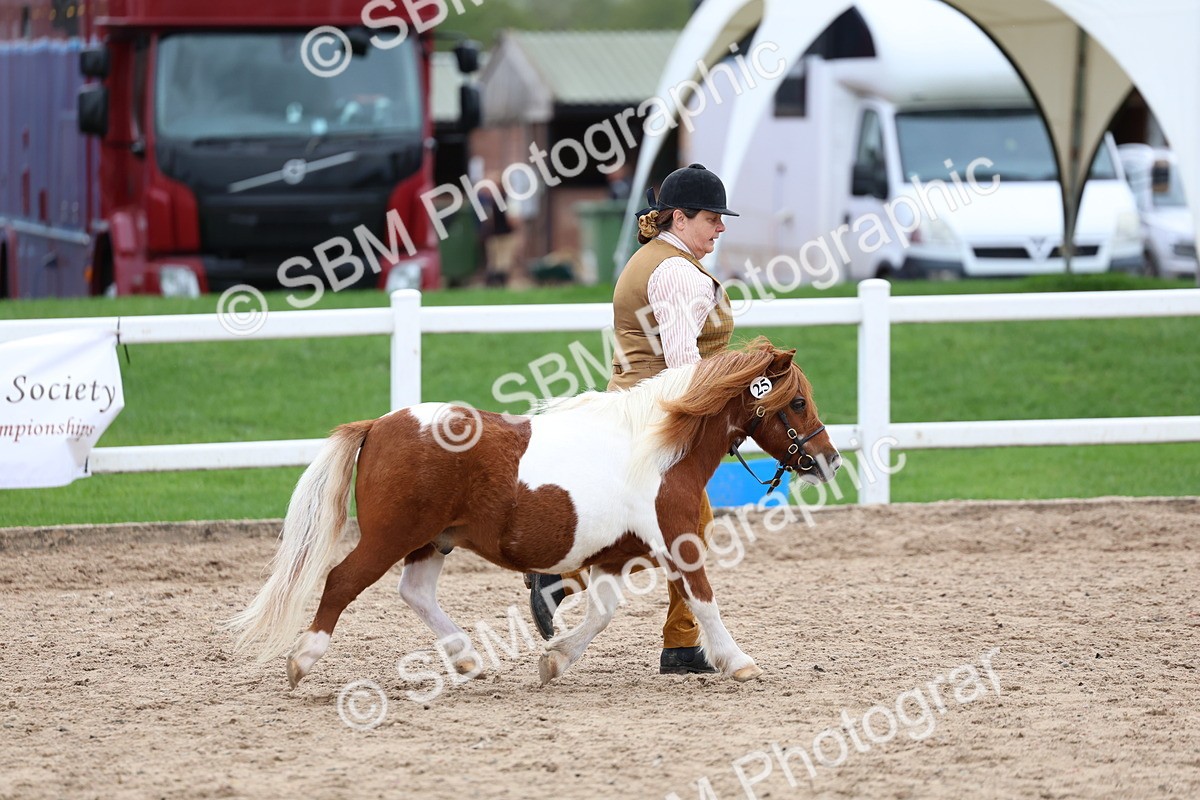 SBM_05911 - Class 29 - IH Veteran Pony