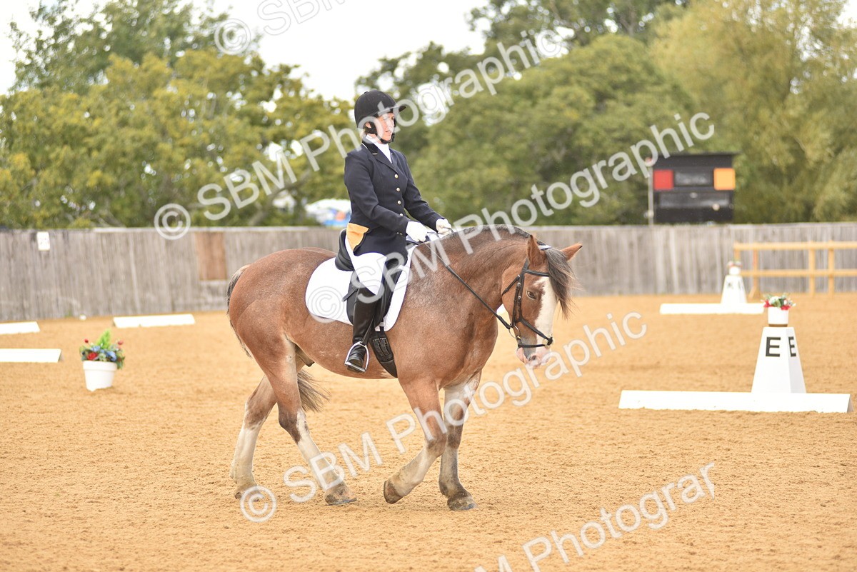 SBM_19874 - D4 - Small Tour Championship Intro 4