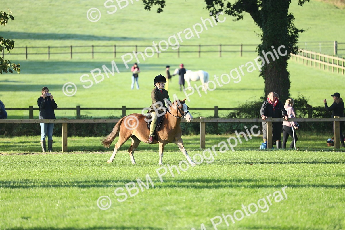 SBM_37223 - S29 - Novice & Newcomers Working Hunter Pony