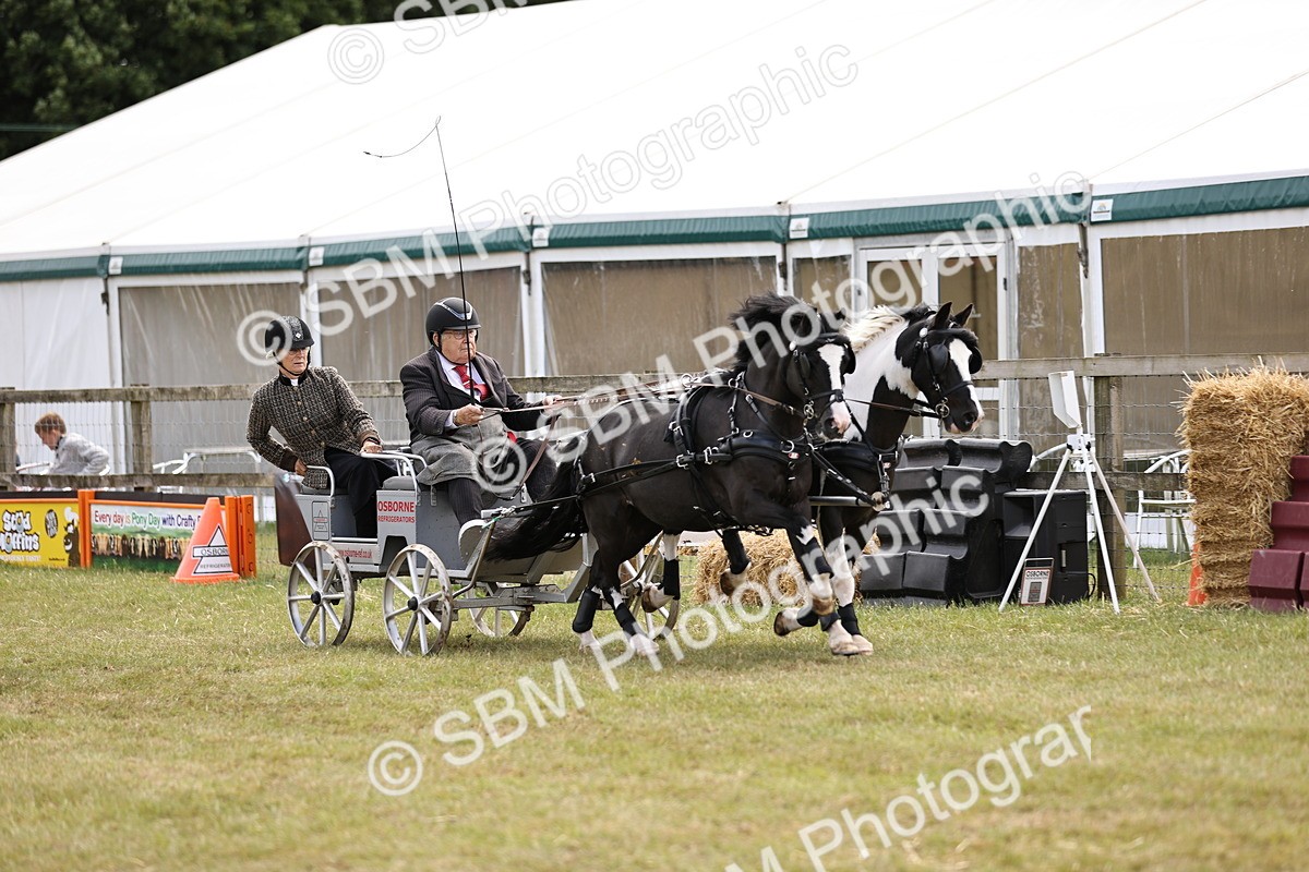 SBM_16070 - Class 91 - Scurry  exceeding 122cms