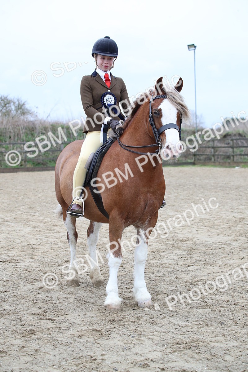 SBM_006240 - Class 10-13 - RIHS Small Large Breeds