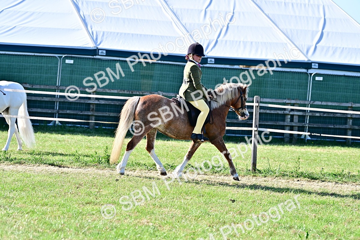 SBM_19853 - Class 103 - 105 - TSR Ridden Amateur of the Year Plaited Ponies
