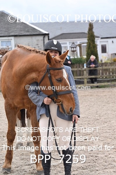 BPP_7259 - RING 1  (RIDDEN HORSES / IN HAND / VETERAN ETC)