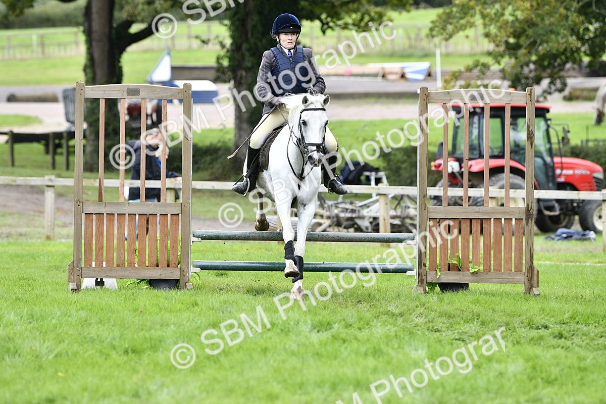 SBM_41303 - S32 - Mountain & Moorland Working Hunter Pony