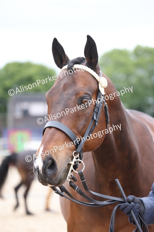 20250524-0724 - Class 7 - Veteran