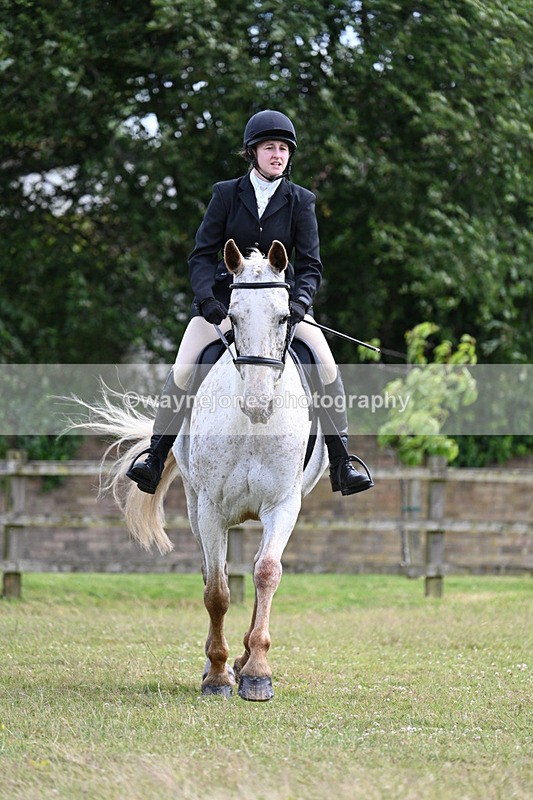 WJ7_8366 - Class 7  Riding Club Show Horse