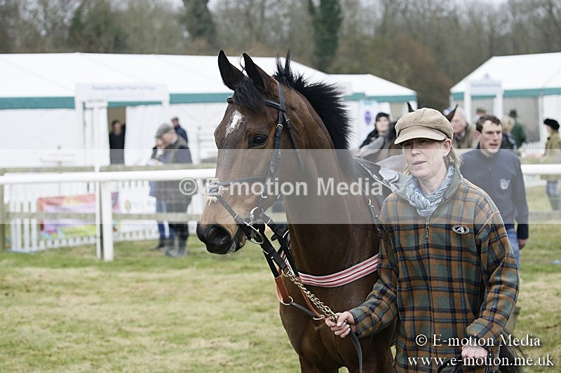 PtP 110318 5 - Hampshire Hunt Point-to-Point Hackwood Park 11/03/18