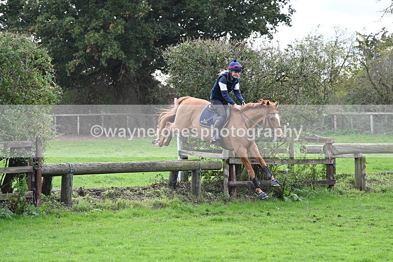 WJ7_9596 - Time 13:13 to 13:55