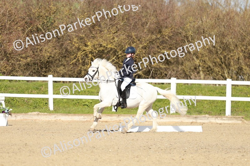 20260314-4519 - DR4 - Prelim 2