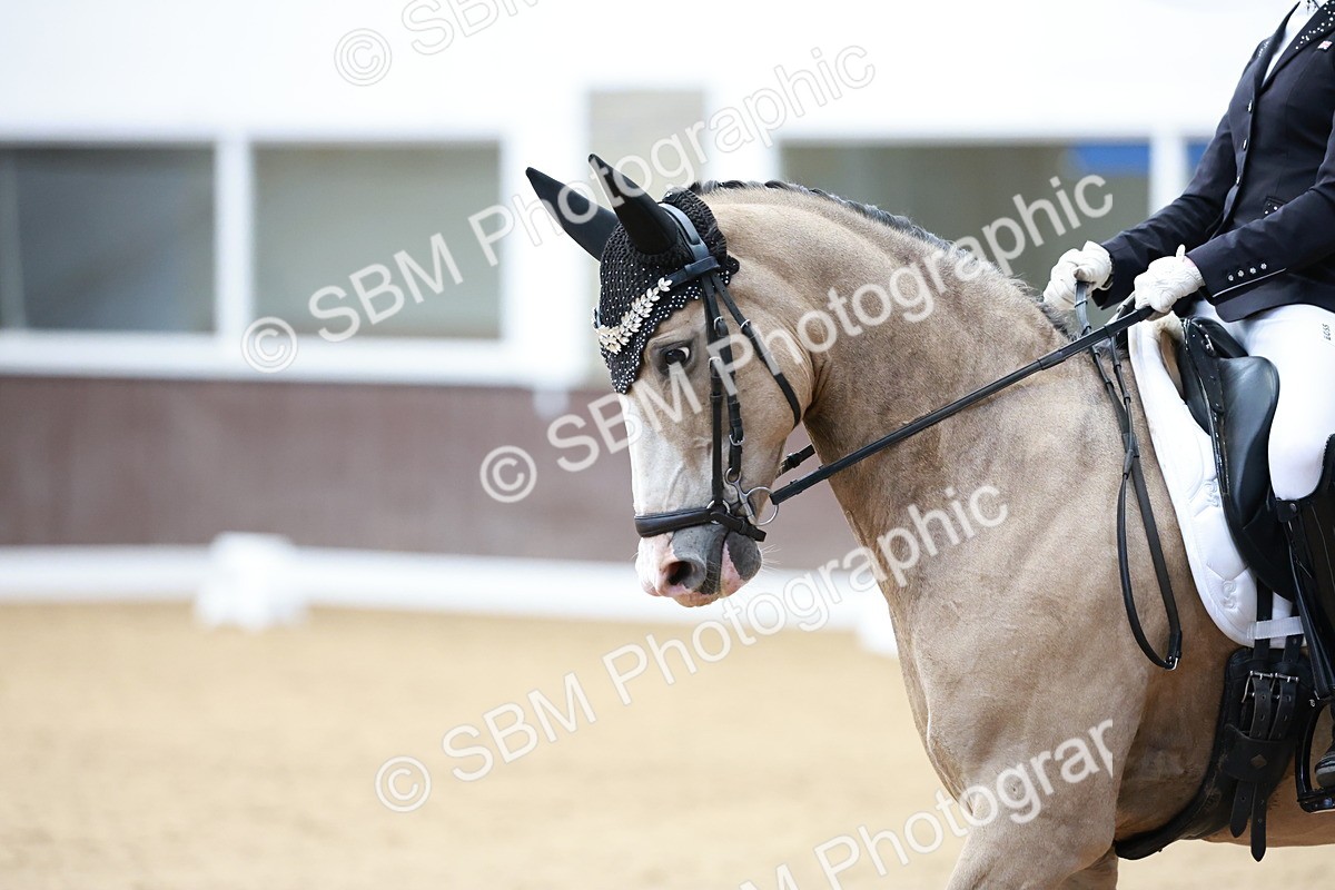 SBM_017340 - Class15 - FEI Pony