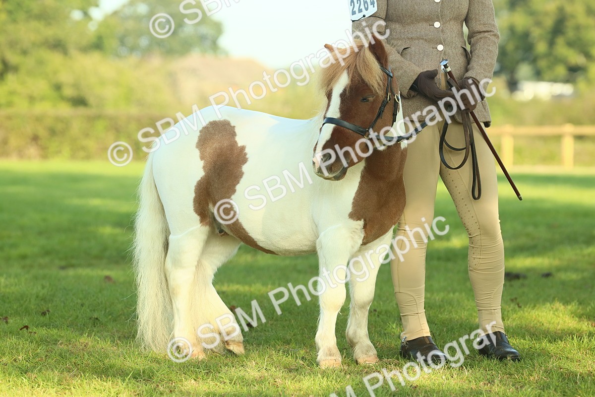SBM_58623 - S37 - Starters In Hand Showing