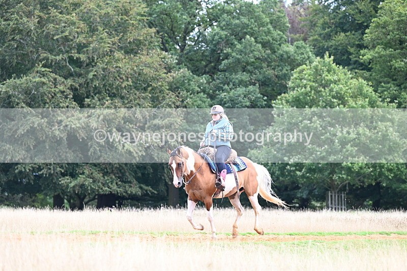 DSC_7067 - Time at Statue 12:45 to 13:15