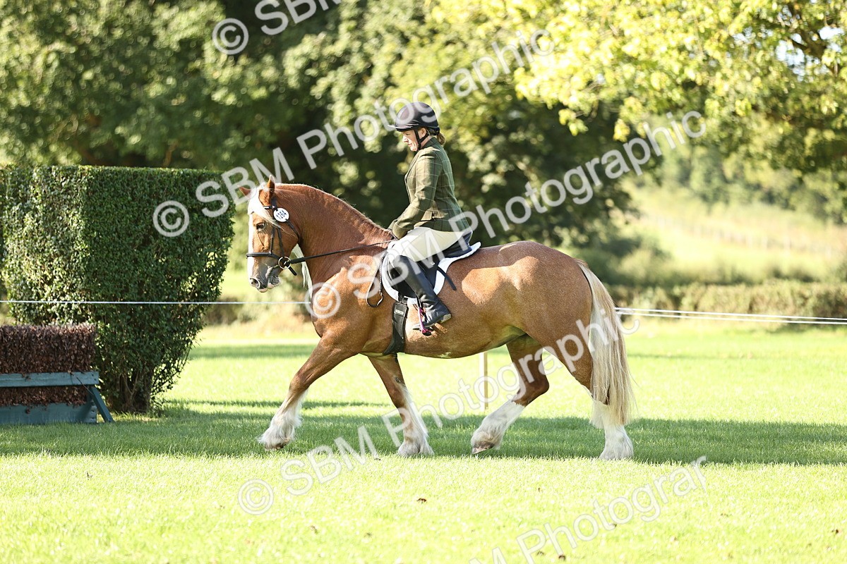 SBM_16917 - S2 - TSR Ridden Pony Showing