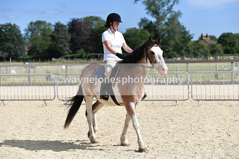 WJ5_5532 - Poles on the Floor