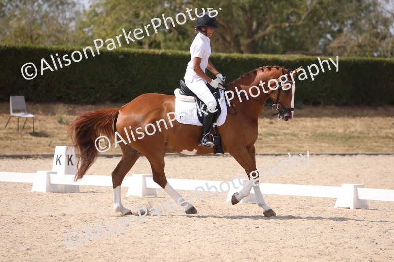 20260815-0977 - Class 5 - Novice 1
