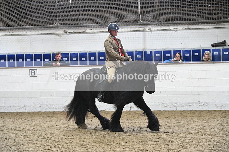 WJ7_4535 - Afternoon Champs