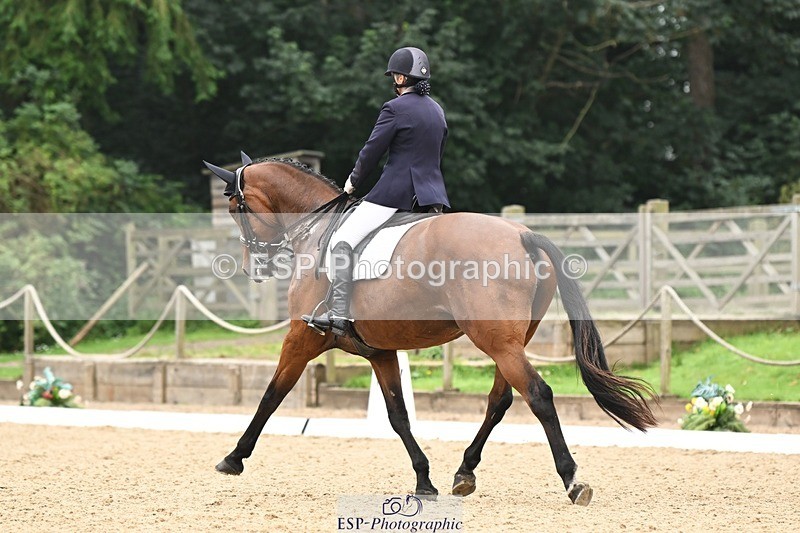 240811-115911-05665 - 241-Kathryn.Little-Quietly.Does.It