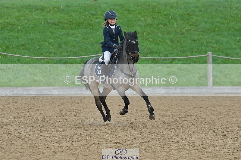 231119A-133400-06019 - Sun Cls 26 Springboard 128cm & 138cm