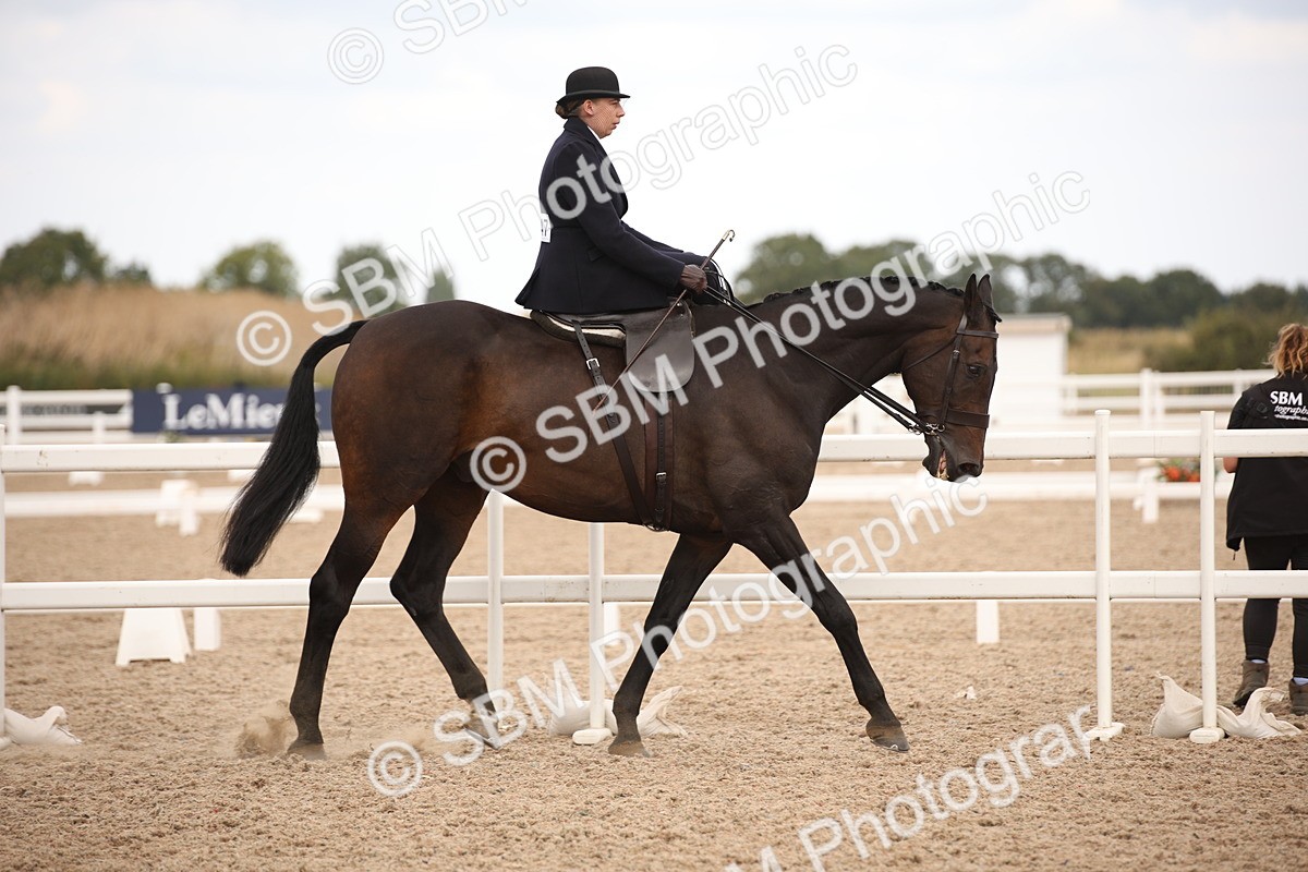 SBM_05309 - Class 22 SSA Equitation
