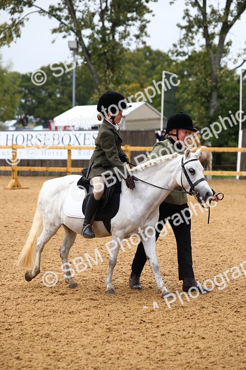 SBM_34549 - D26 - Starters Lead Rein