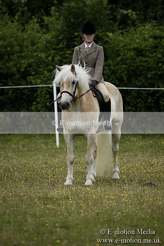 BVR160717-1370 - Ring 1 BVRC Show 16/07/17