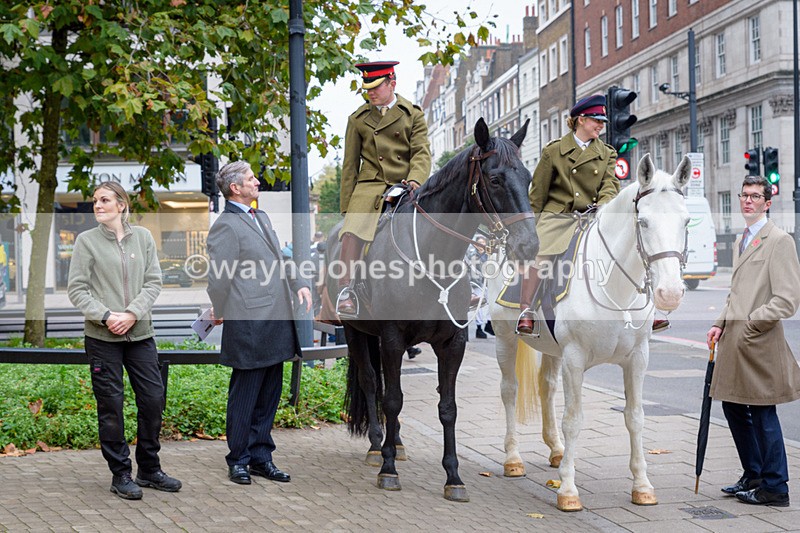 NGP_8186 - 2024 Animals in War Remembrance Gathering