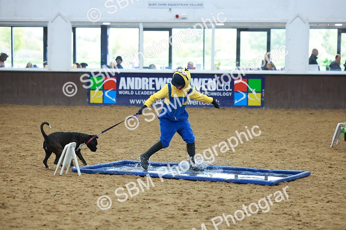 SBM_002254 - Class 3 - Horse & Hound (60cm)