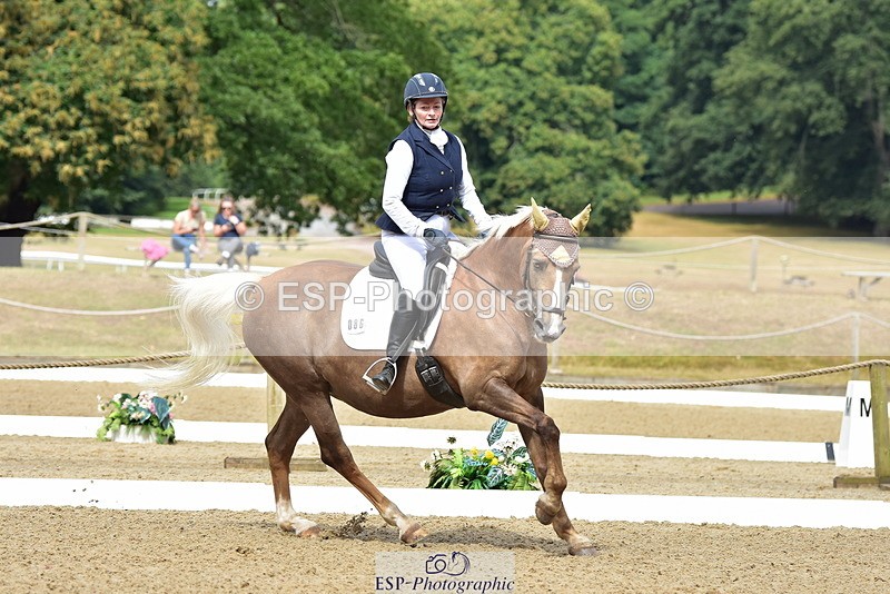 250719A-102156-03645 - 086-Alison.Nicoll-Moondust