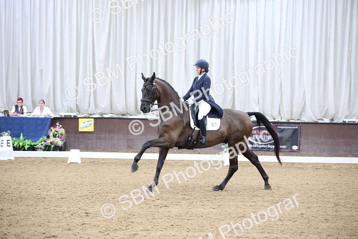 SBM_004719 - Class 9 - FEI Inter 1 Gold - 16.59-17.47