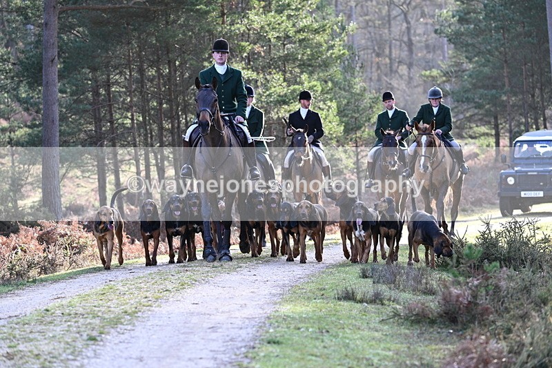 WJ7_7653 - Line 3 (no line 4 or 5)